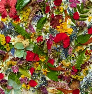 Blair Coron - On The Nature Of Things